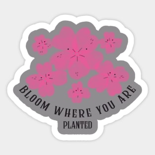 Bloom where you are Sticker